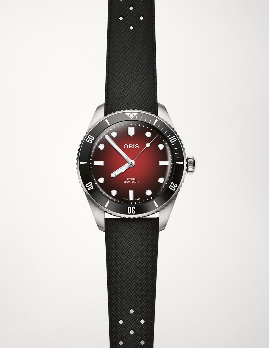 Reloj Divers para hombre 73377954018-set 2